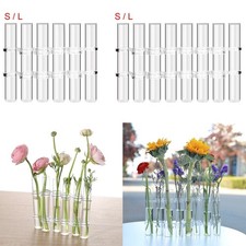 Planteur Plante Terrarium