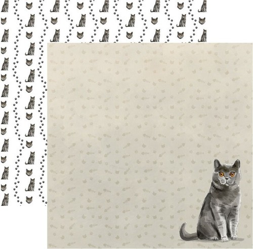 British shorthair watercolor - british,