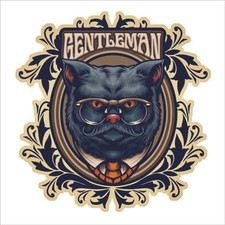 CHAT MOUSTACHE MIGNON