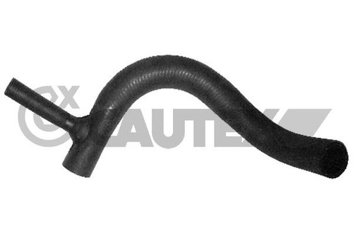 Durite radiateur austin - durite, de