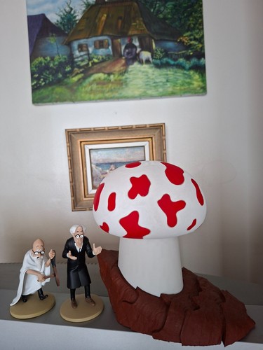 Champignon tintin étoile - champignon, de
