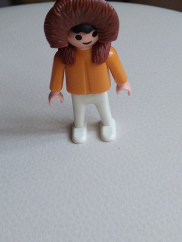 Playmobil polaire articque - playmobil,