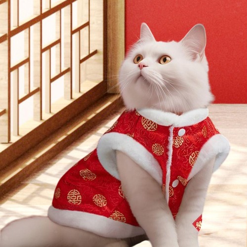 Costume tang pour chien - tang,