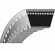 Courroie Dentée Tondeuse À