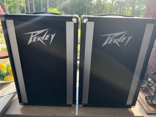 Two peavy 110 speakers - pt, pa