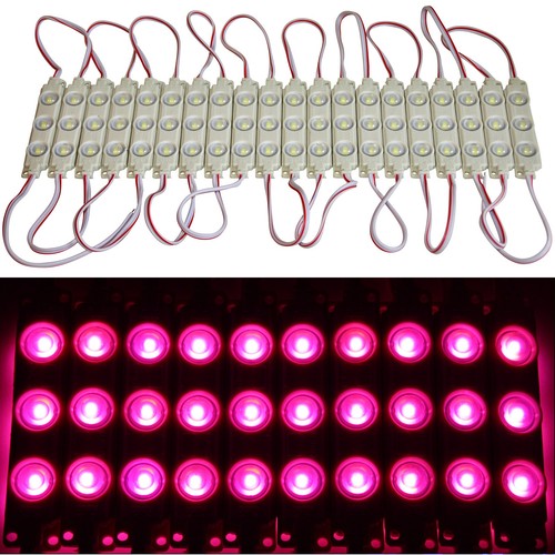 20x led module rose 12v - 12v, rohs