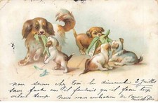 CHIENS AC#MK855  CHIENNE ET