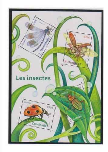 Promo paquet 5 pochettes - promo,
