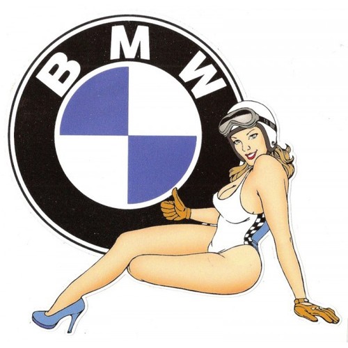 Bmw left pin - gauche, sticker