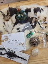 Boite Mystère : Mon premier Cabinet curiosités - CURIOSITÉS et BIZARRIES