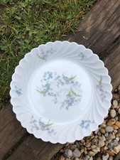 6 assiettes (11) Haviland