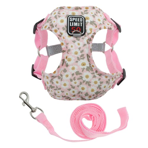 Harnais pour chien - , chat