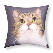 Lot de 2 Housses de Coussin