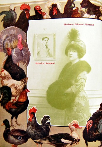 Estampe madame edmond - madame, rostand