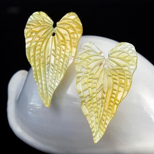 Caladium feuille oreille paire - feuille,
