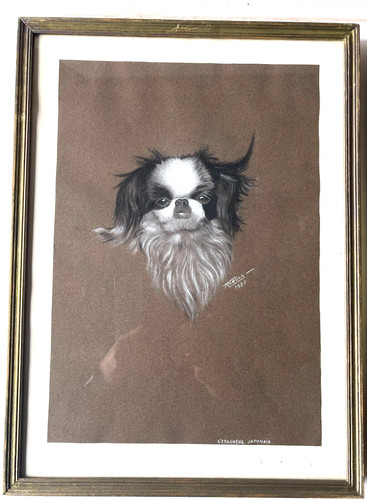 Peinture chien épagneul - chien,