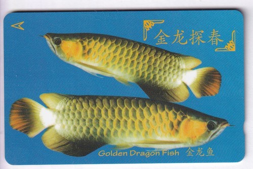 Asie telecarte phonecard - /,