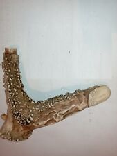 pommeau canne - andouiller bois de cerf,   art populaire - érotique phallus