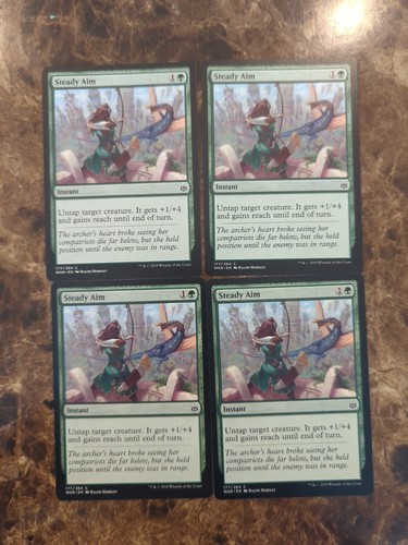 Steady aim playset - steady, *playset*
