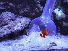 Fangkelle Catch Bol Aqua Medic Enlèvement De Pêche & Wirbellosen De Aquarium