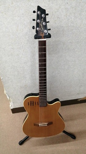 Guitare électrique acoustique
