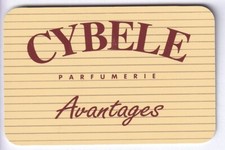 DISNEY PARIS PASS CARTE / CARD .. AVANTAGE EURODISNEY CYBELE PARFUMERIE MEAUX
