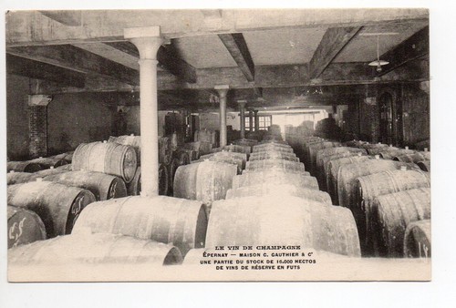 Champagne cpa vins vignes - champagne,