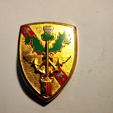 insigne  Pucelle service