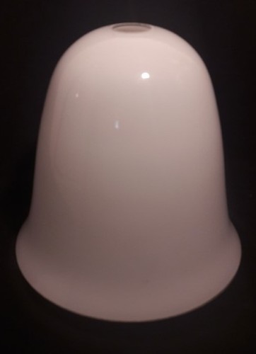 Tulipe opaline blanche st - tulipe,