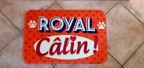 Tapis sol pour chien - sol,