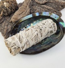 Bâton Sauge Blanche Californie pour Purification, Fumigation, Amérindien, Rituel