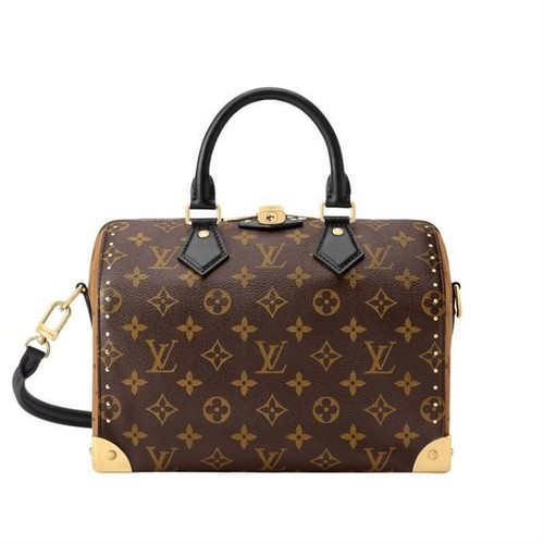 Louis vuitton speedy - louis, trunk