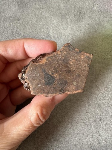 Meteorite chondrite ll5 - chondrite,