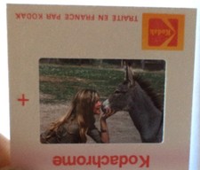 Diapositive d'agence (Slide) Brigitte BARDOT âne Thoiry 1976 DIAPO Brozek