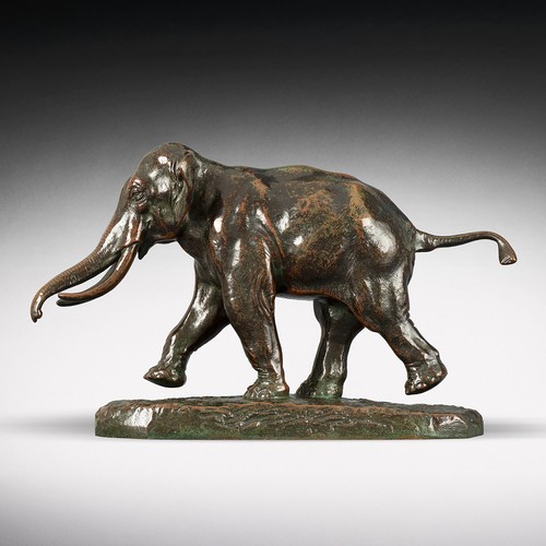 éléphant cochinchine - Éléphant,