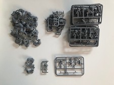 1 X Chevalier Bretonien sur