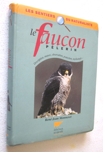 Faucon pelerin rené jean - le,