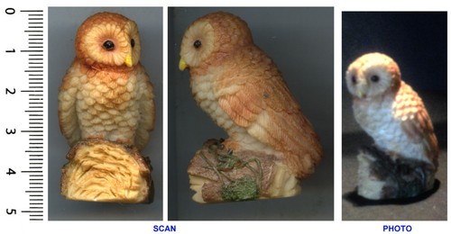 Collection chouette hibou - chouette/hibou,