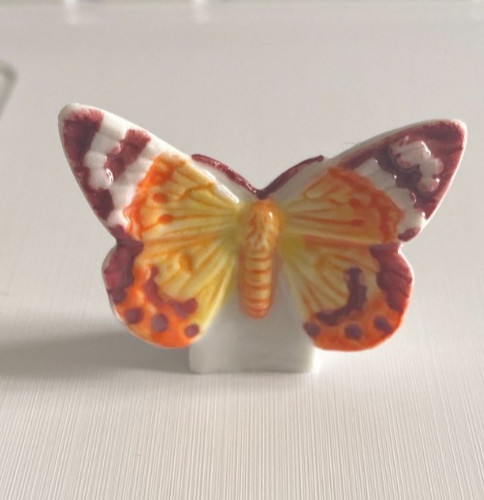 Feve dysphania cuivre - dysphania,
