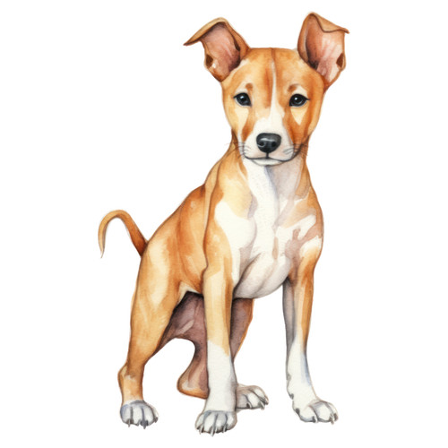Autocollants xxl basenji - autocollants,