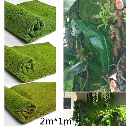 Tapis herbe plante