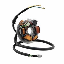 Stator PIAGGIO 6VE186974