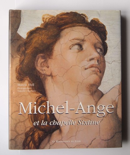 Michel ange les fresques de - fresques,
