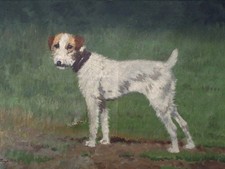Tableau ancien, HST, Chien