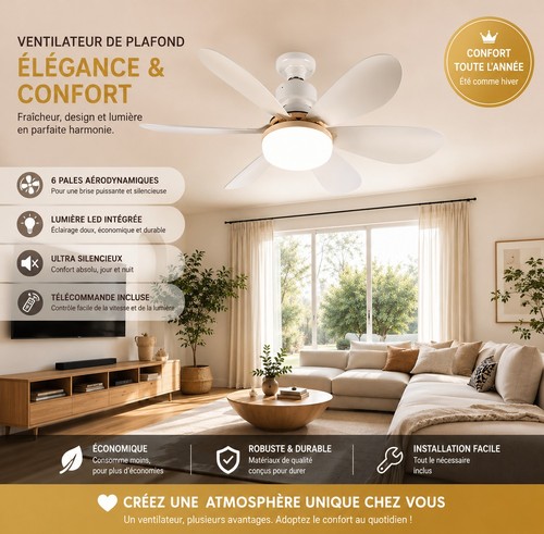Ventilateur plafond avec - de,