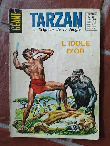 Tarzan geant l idole - tarzan, l'idole