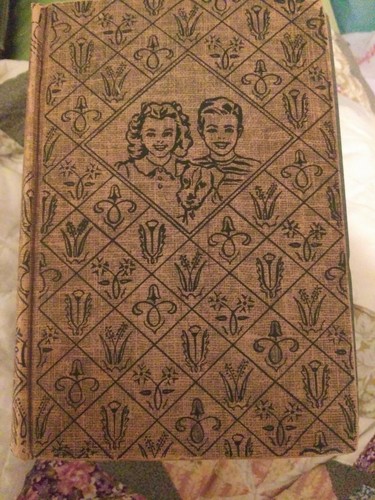 The bobbsey twins great - the,