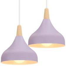Lot de 2 Lustres Suspensions