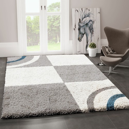 Salon tapis shaggy poils - tapis, à