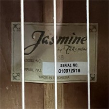 Jasmine by Takamine S38